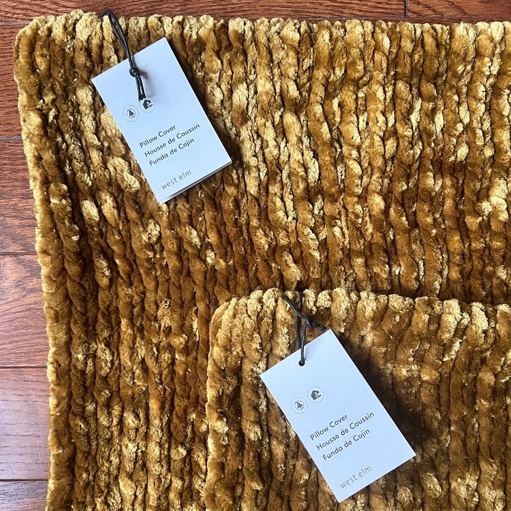 West Elm Throw Pillows (2)
